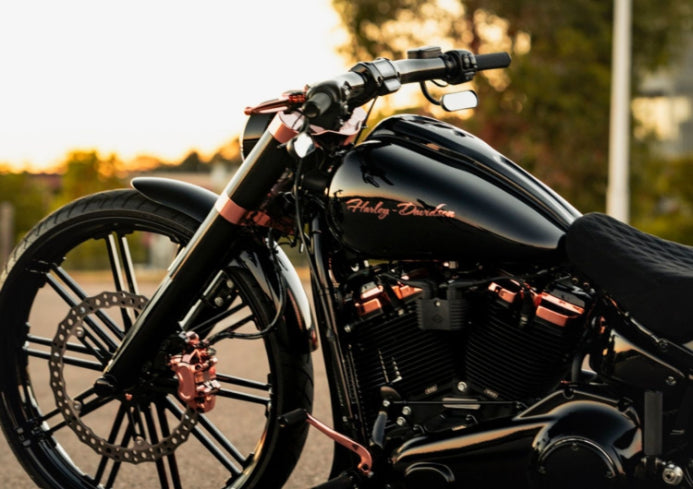 Black Harley-Davidson motorcycle with rose gold accents on a blurred background