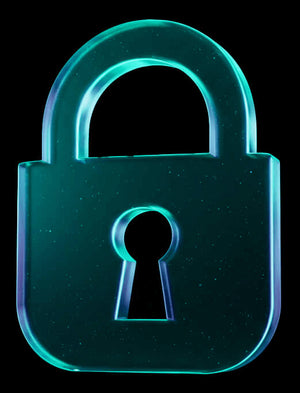 Secure Payments
